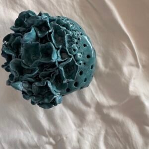 Arrecife de barro azul