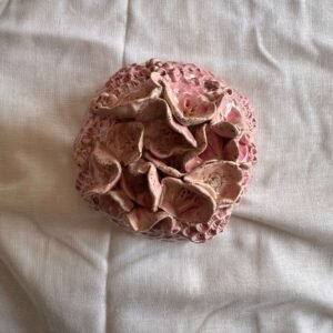 Arrecife Pink (copia)