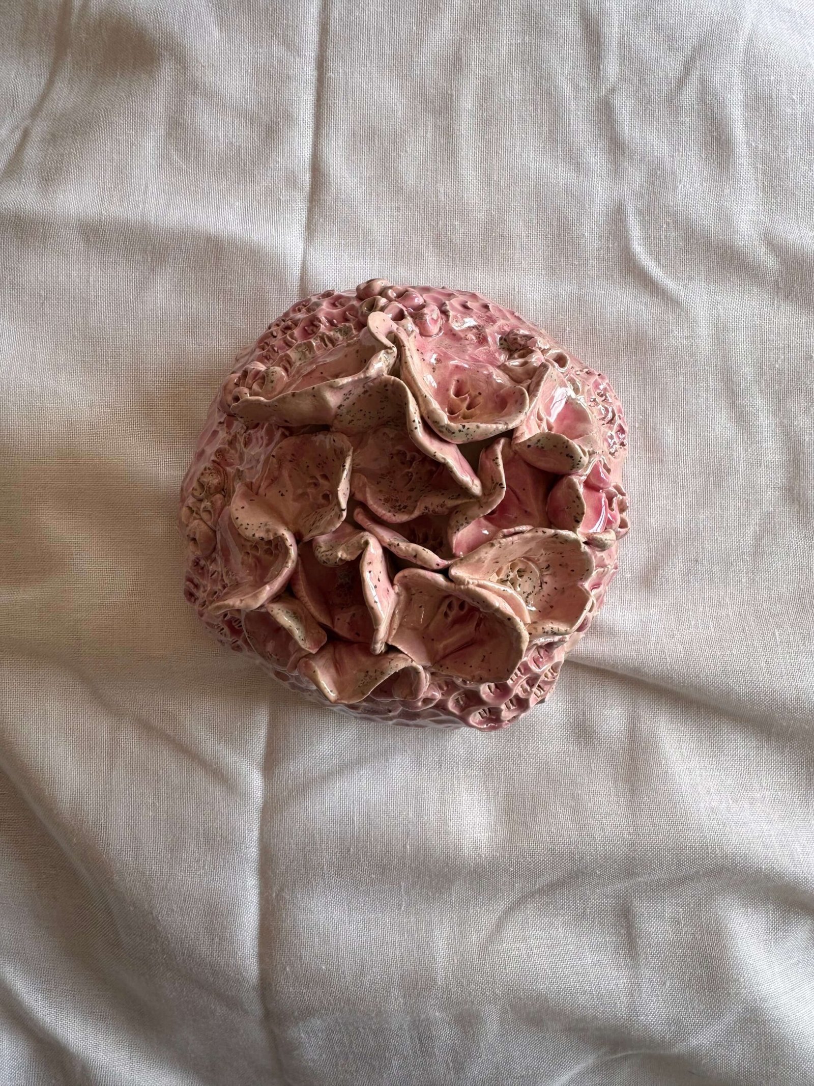 Arrecife Pink (copia)